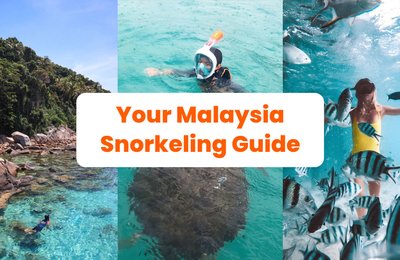 10 Best Snorkeling Sites In Malaysia: Amazing Marine Life, Colorful Reefs, & Clear Waters