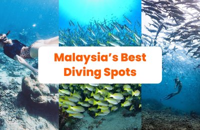 The Top 12 Diving Spots In Malaysia For The Best Dive Experience