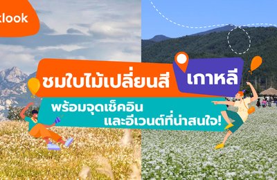 ชมใบไม้เปลี่ยนสีที่เกาหลี พร้อมจุดเช็คอินและอีเวนต์ที่น่าสนใจ!