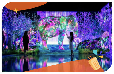 福岡teamLab Forest》超美藝術裝置、沈浸式體驗必看