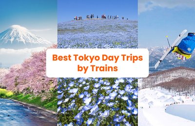 11 Best Day Trips from Tokyo by Trains