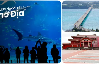 11 Địa Điểm Du Lịch Okinawa Cho Bạn Kỳ Nghỉ Đáng Nhớ