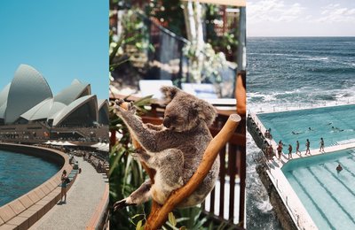 Sydney Uncovered: Your Essential Guide to the Best Things to Do in Sydney