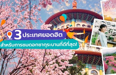 3 ประเทศยอดฮิต สำหรับการชมดอกซากุระบานที่ดีที่สุด!