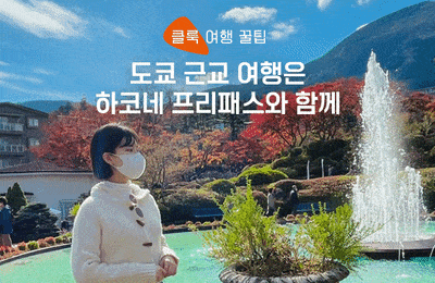 도쿄 근교 여행은 하코네 프리패스와 함께