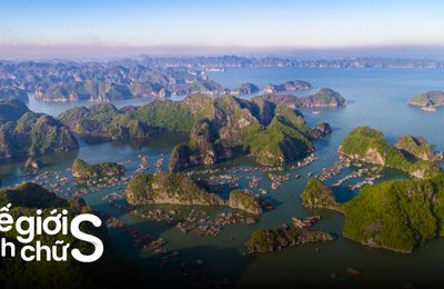 Kinh Nghiệm Du Lịch Cát Bà Tự Túc Cập Nhật Mới Nhất 2025