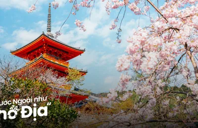 12 Địa Điểm Du Lịch Nhật Bản Mùa Xuân Tuyệt Vời Cho Gia Đình