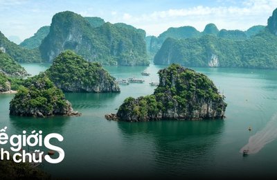 Kinh Nghiệm Du Lịch Hạ Long Tự Túc Siêu Vui Và Tiết Kiệm