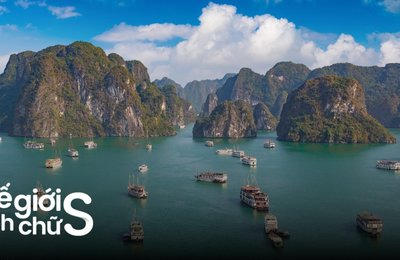 Lịch Trình Du Lịch Cát Bà - Vịnh Hạ Long 3 Ngày 2 Đêm Từ Hà Nội