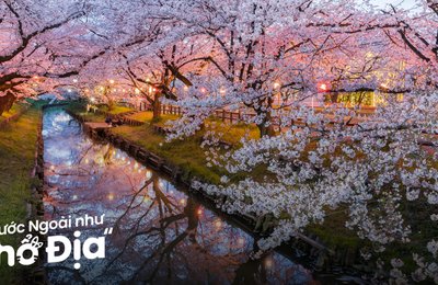 Hanami Là Gì? Tìm Hiểu Truyền Thống Ngắm Hoa Anh Đào Nhật Bản