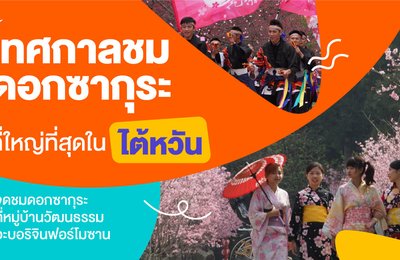 เทศกาลชมดอกซากุระที่ใหญ่ที่สุดในไต้หวัน🌸| จุดชมดอกซากุระที่หมู่บ้านวัฒนธรรมอะบอริจินฟอร์โมซาน