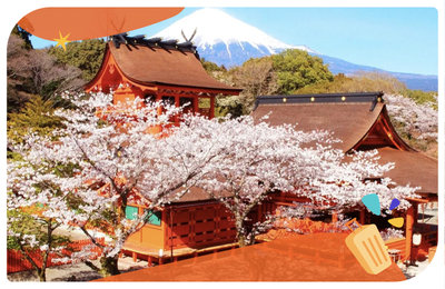 2025富士山櫻花》河口湖賞櫻必看!富士山賞櫻懶人包