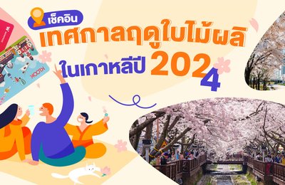 เช็คอินเทศกาลฤดูใบไม้ผลิยอดฮิตในเกาหลีปี 2024: งานเทศกาล สภาพอากาศ อาหาร และกิจกรรมอื่นๆ อีกมากมาย!