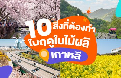 10 สิ่งที่ต้องทำในฤดูใบไม้ผลิที่เกาหลี!