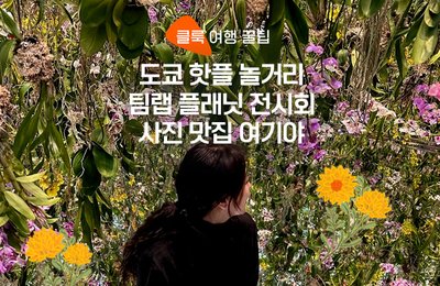 도쿄 사진 맛집 팀랩 플래닛 :: 전시회 소개, 예약 방법, 방문 팁