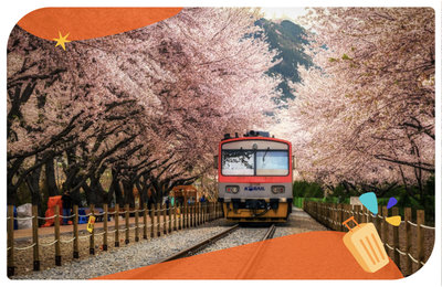 2026釜山鎮海櫻花節》釜山賞櫻勝地！釜山交通行程懶人包