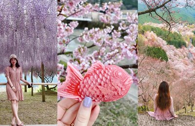 Spring in Japan: Traditions and Best Attractions