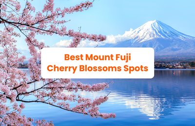 When & Where to See Cherry Blossoms Near Mt. Fuji this 2025