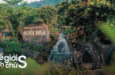 Cắm Trại Tại Khu Du Lịch Suối Hoa Đà Nẵng Có Gì Vui?