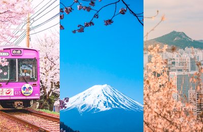 Spring in Japan vs. Korea: Which One's More Worth It?