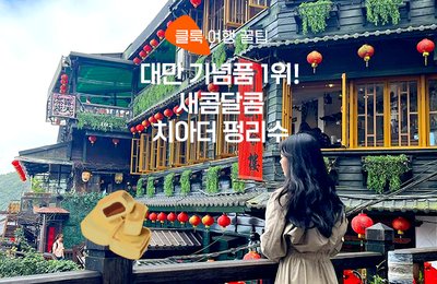 대만 기념품 새콤달콤 치아더 펑리수!