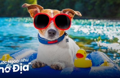 Trời Nóng Quá? Ghé Liền 11 Điểm Du Lịch Tránh Nóng Ở Châu Á