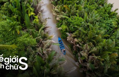 Kinh Nghiệm Du Lịch Bến Tre Tự Túc Để Khám Phá Trọn Vẹn Xứ Dừa