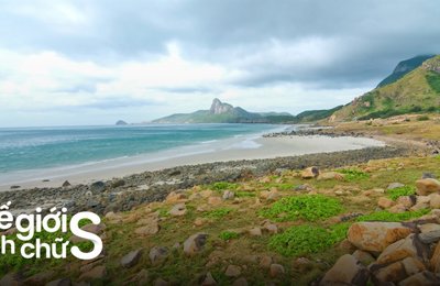 Lịch Trình Du Lịch Côn Đảo 3 Ngày 2 Đêm Cho Hội Tự Túc