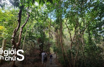 Kinh Nghiệm Du Lịch Vườn Quốc Gia Côn Đảo Tự Túc