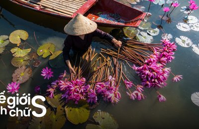 41 Địa Điểm Du Lịch Việt Nam Đẹp Nức Lòng Từ Bắc Vào Nam 