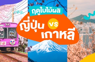 ฤดูใบไม้ผลิในญี่ปุ่น vs เกาหลี🌸