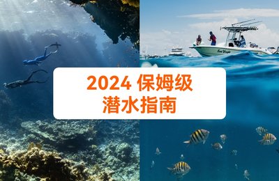 从价格到亲身经验,收好这份给小白的2024保姆级潜水指南