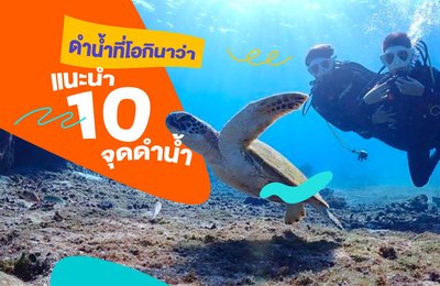 [ดำน้ำที่โอกินาว่า] แนะนำ 10 จุดดำน้ำที่ต้องไปในโอกินาว่า! | ถ้ำสีน้ำเงิน เกาะเครามะ เกาะอิชิงากิ