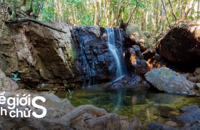 Trekking Suối Đá Bàn: Chinh Phục "Thạch Trận" Phú Quốc