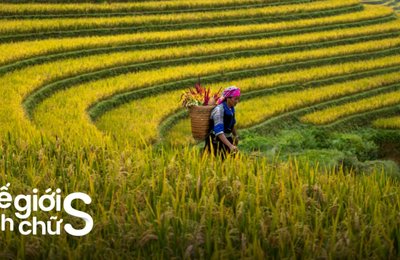 Lịch Trình Sapa 3 Ngày 2 Đêm Tự Túc Dưới 3 Triệu Đồng