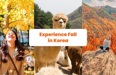 Experience Fall in Korea at These Scenic Spots