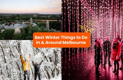 24 Fun Things to Do in Melbourne & Surrounds in Winter: Skiing, Whale Watching & More