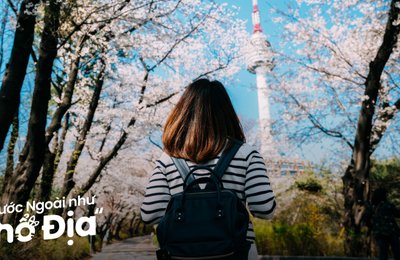 Lịch Trình Du Lịch Hàn Quốc 5 Ngày 4 Đêm Tự Túc Tiết Kiệm