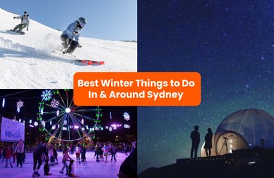 22 Fun Things to Do in Sydney & New South Wales in Winter: Vivid Sydney, Whale Watching & More