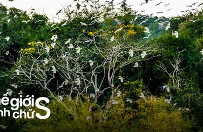 Review Khu Du Lịch Thung Nham Ở Ninh Bình Tự Túc Cho Nhóm Bạn