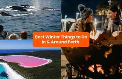 22 Fun Things to Do in Perth & Western Australia in Winter: Truffle Hunting, Ice Skating & More