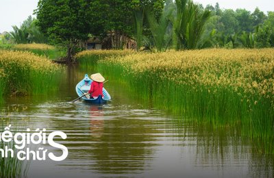 Review Tour Miền Tây 1 Ngày Từ Sài Gòn Cho Người Đi Tự Túc