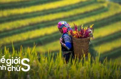 Lịch Trình Du Lịch Sapa 4 Ngày 3 Đêm Tự Túc Từ Hà Nội