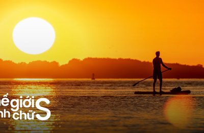 15 Địa Điểm Chèo SUP Ở Việt Nam Vừa Đẹp Vừa Dễ Đi