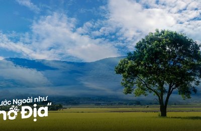 14 Địa Điểm Du Lịch Đài Đông Nổi Tiếng Đẹp Mê Ly