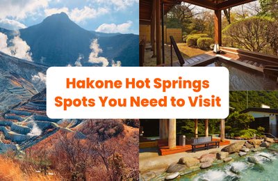 Top 11 Hakone hot springs to visit on your next Japan trip