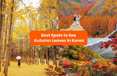 20 Best Places To See Autumn Leaves In Korea 2025
