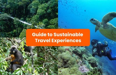 How to Find Sustainable Travel Experiences on Klook