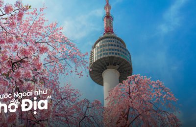 Hướng Dẫn Đi Tháp Nam San: Biểu Tượng Du Lịch Seoul 