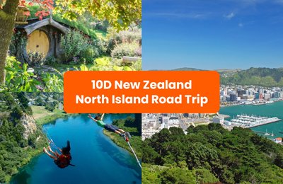 10D New Zealand North Island Road Trip Itinerary for First-Timers